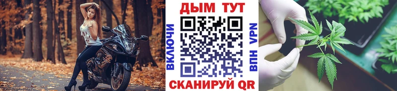закладка  Талица  Канабис семена 